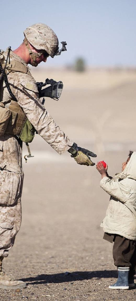 pexels-pixabay-36785